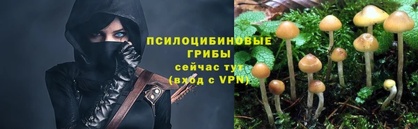 каннабис Майский