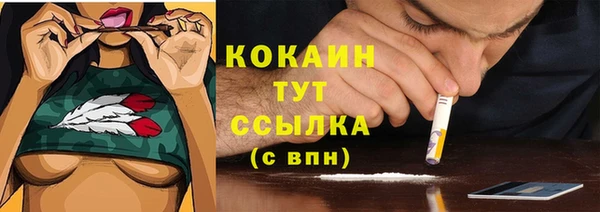 2c-b Михайловка