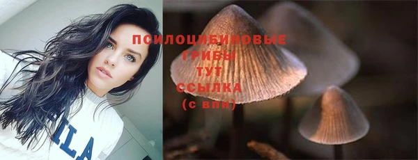 мяу мяу мука Жердевка