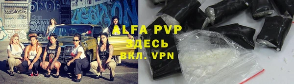 apvp Инсар