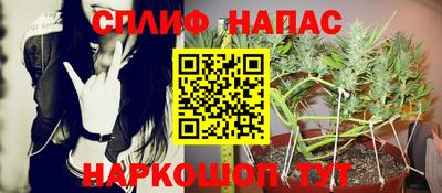 сатива Будённовск