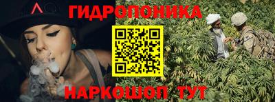 сатива Будённовск