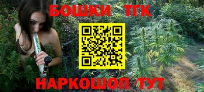 стафф Кандалакша
