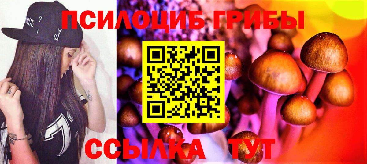 Галлюциногенные грибы Psilocybe Лыткарино